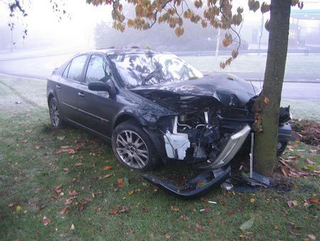 tree-car-crash